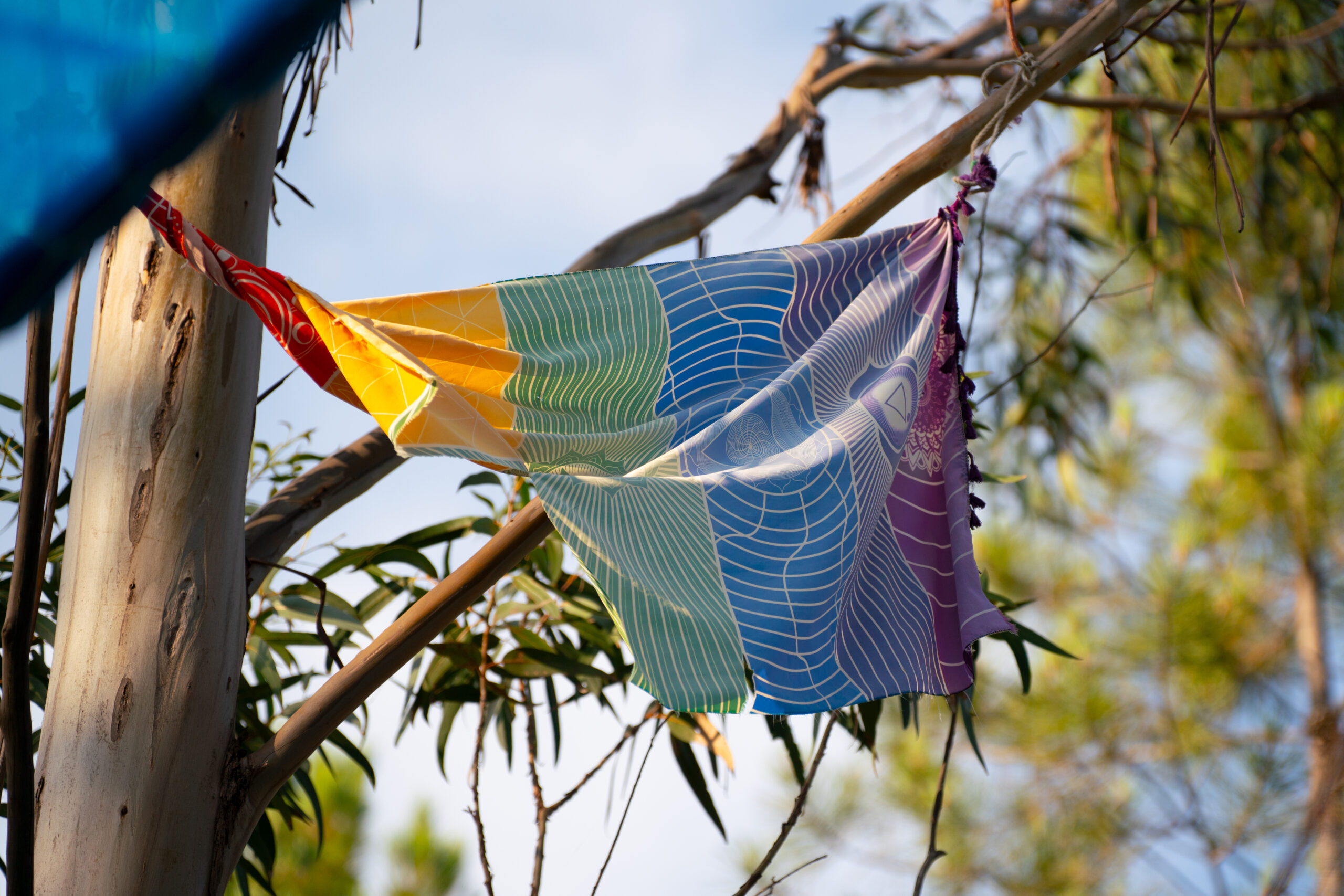 jessica-berke-lgbtq-fotografie